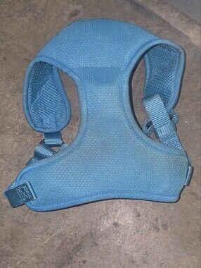 Light Teal Padded Dog Harness with Adjustable Straps
